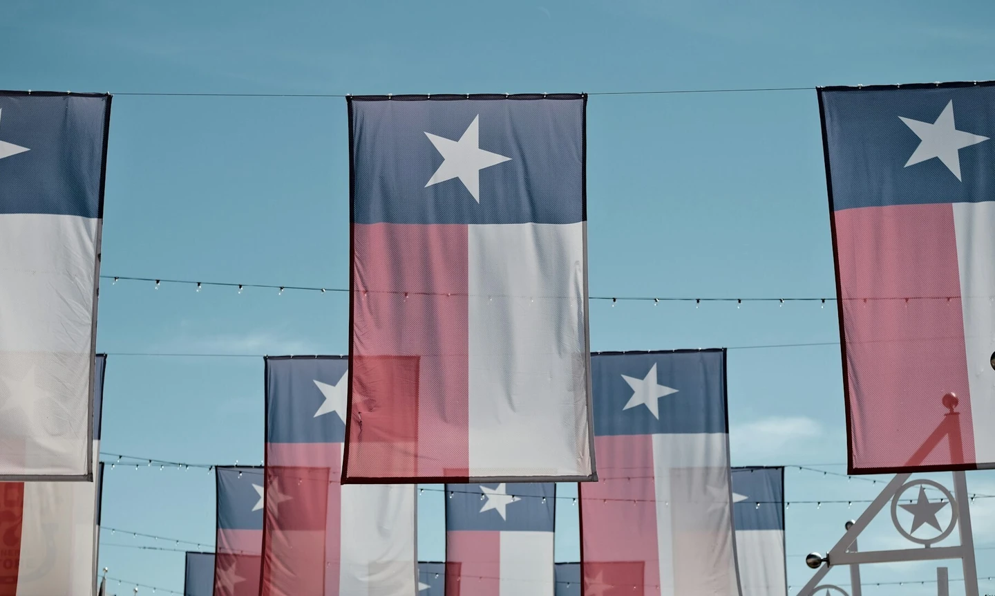 Inner page hero texas flag