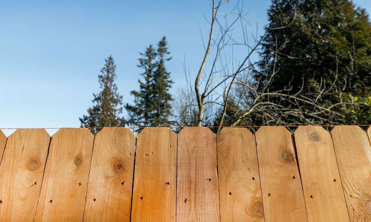 Cedar fence